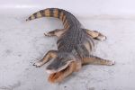 Life-Size American Alligator 94.75 Inch Long