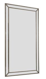 Brushed Spectrum Mirror 45X81Mc