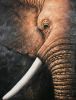 The Elephant Giclee 37