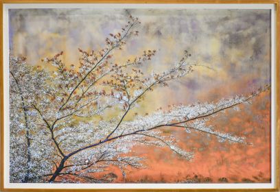 Framed Blossoms Giclee 48X72