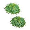 Artificial Ferns, 48 Inch Fake Boston Fern Bush Plant with 67 Fronds, Faux Greenery for Indoor/Outdoor Decor, Silk & LDPE