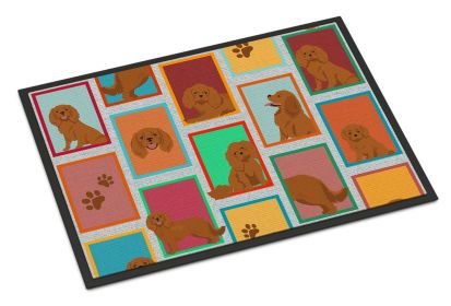 NEW Lots of Ruby Cavalier Spaniel Doormat Front Door Mat Indoor Outdoor Rugs for Entryway, Non Slip Washable Low Pile, 18H X 27W