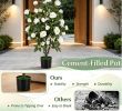 Set of 2 Artificial Rose Tree Blooming Flowers Green Leaves Indoor Decor Fake Rose Bushes for Home Decor