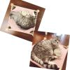 Cat & Dog Hammock Bed – Wooden Elevated Pet Cot with Breathable Mesh – Raised Cat Bed for Small Pets